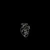 regina.shl7