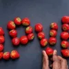 ar.hu3