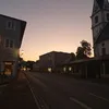 sofia.andr490