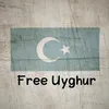 seher.yilmaz85