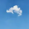 user743131167