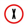The X-Files