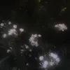 n2_mcrx