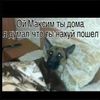 xx__splooit_0_