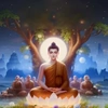 Phật Pháp Suy Ngẫm