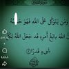 user75929804558503