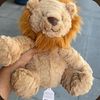 ilovejellycats12