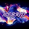 icebrid.03