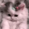 fathom_myhoneybunchsugar