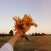 🌻