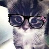 wxyz_aliaa