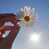 arisha.noor63