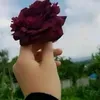 asx__005