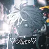 mister_tiger