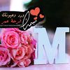 user5902533803662
