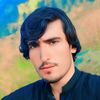 tareen.1433