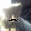 minqthzw._