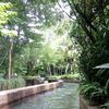 tiwi.sakti