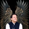 zakir.khan8766