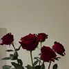 dorien639