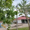 quynguyenngoc977