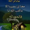 ghazalhoussine0