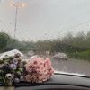 amjadqxny7d