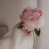 amira.sirmione