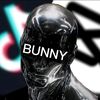 .bunny075