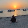 _gordat29