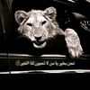 user4292706191606