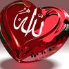 Æbd EL samed #