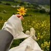 arshe.chaudhary7