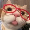 cat.zx6