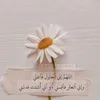mdssfds6