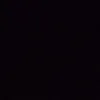 dravius19383