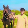 muhammadibrar2077