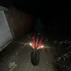 mjw.po9