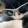 calisthenicsfan_007