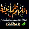hayfa.ali49