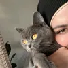 roseana_a