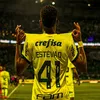 pedrin_zn12
