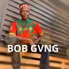 bob.gvng3