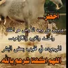 user2596887335582