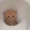 dimsnr5