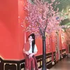 xiaoduantui1107