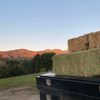 myranchdiary
