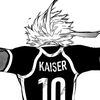 pnxisherer_wasa