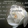 deysy.acosta