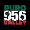 🌴🌴puro956🌴🌴